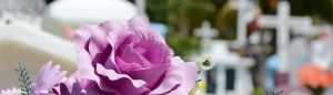 Low Cost Funerals - Common Questions Answered