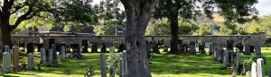 Find-A-Cemetery-Checklist-For-All-Australians_Sydney-Coffins